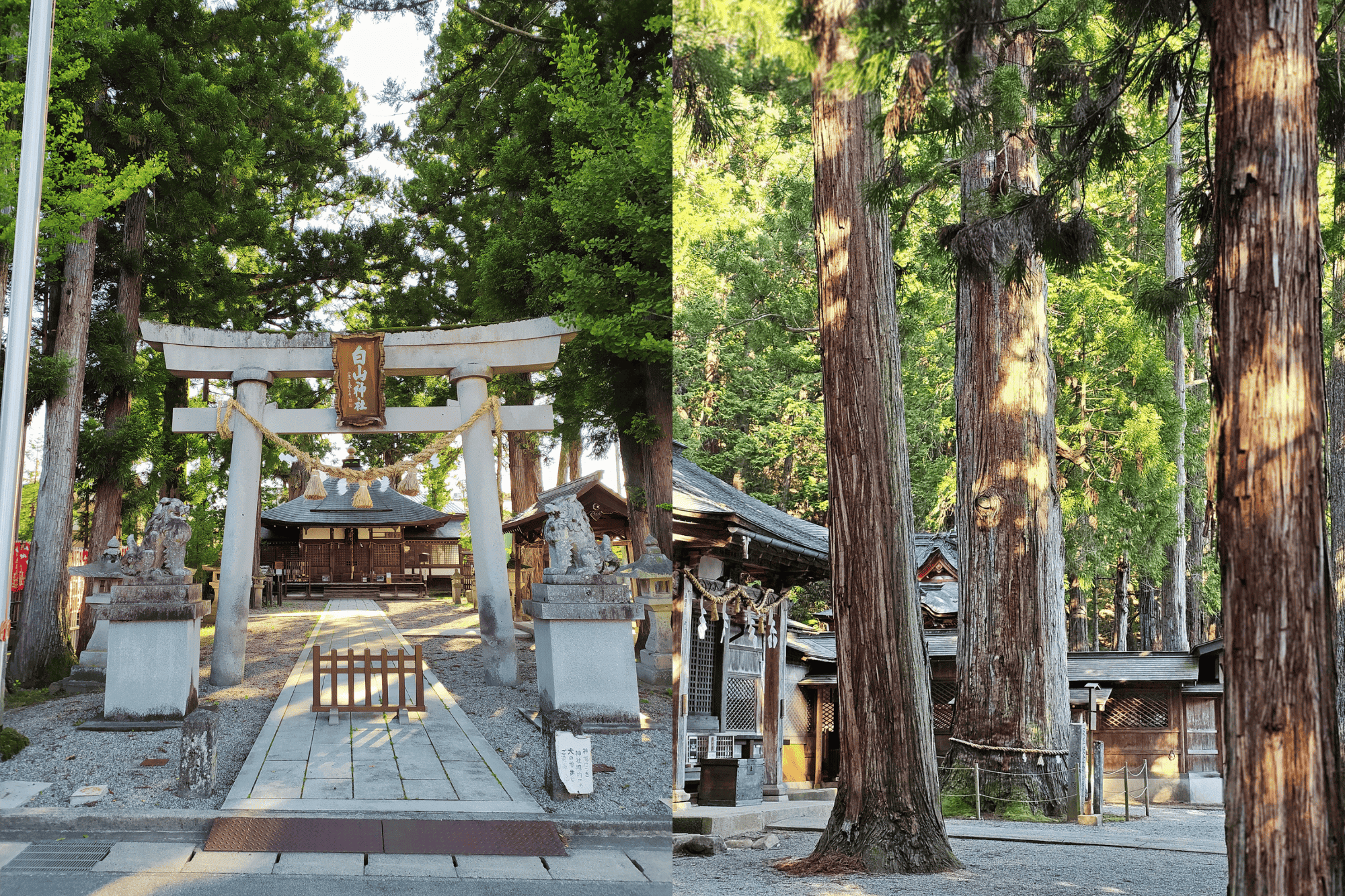 szlak Higashiyama - co robić w Takayamie.png